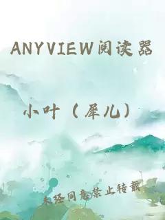 ANYVIEW阅读器