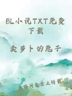BL小说TXT免费下载