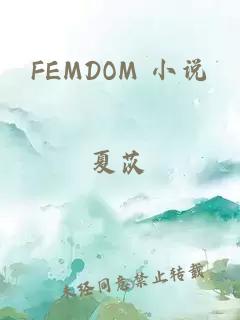 FEMDOM 小说