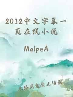 2012中文字幕一页在线小说