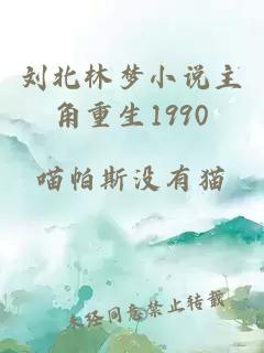 刘北林梦小说主角重生1990